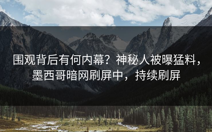 围观背后有何内幕？神秘人被曝猛料，墨西哥暗网刷屏中，持续刷屏