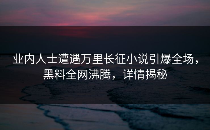 业内人士遭遇万里长征小说引爆全场，黑料全网沸腾，详情揭秘