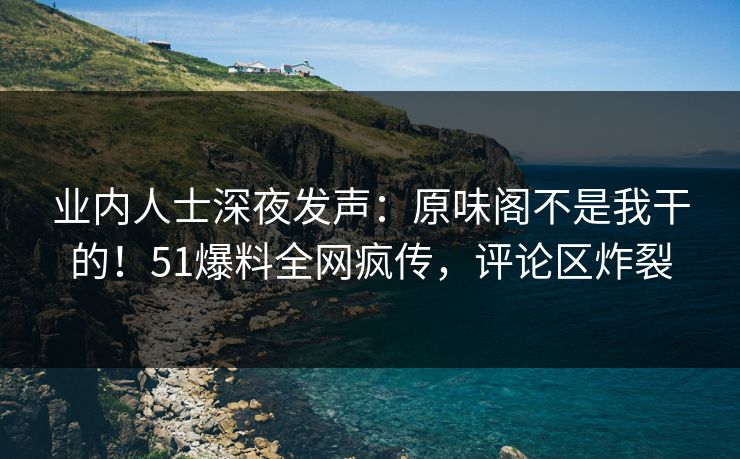 业内人士深夜发声：原味阁不是我干的！51爆料全网疯传，评论区炸裂