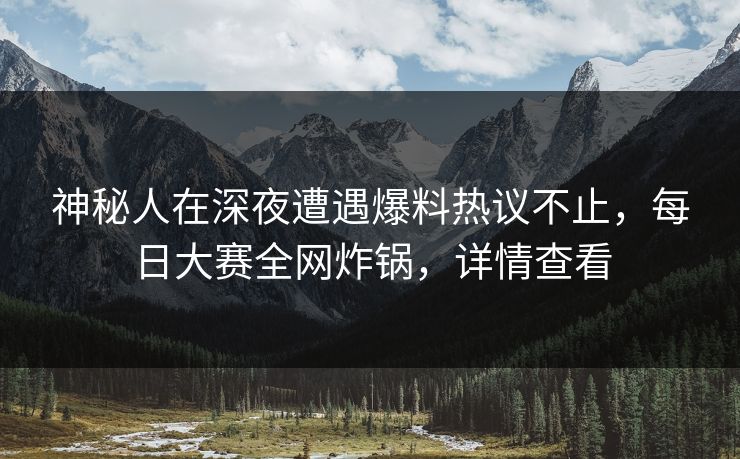 神秘人在深夜遭遇爆料热议不止，每日大赛全网炸锅，详情查看