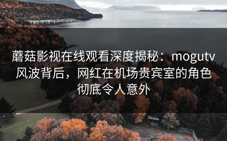 蘑菇影视在线观看深度揭秘：mogutv风波背后，网红在机场贵宾室的角色彻底令人意外